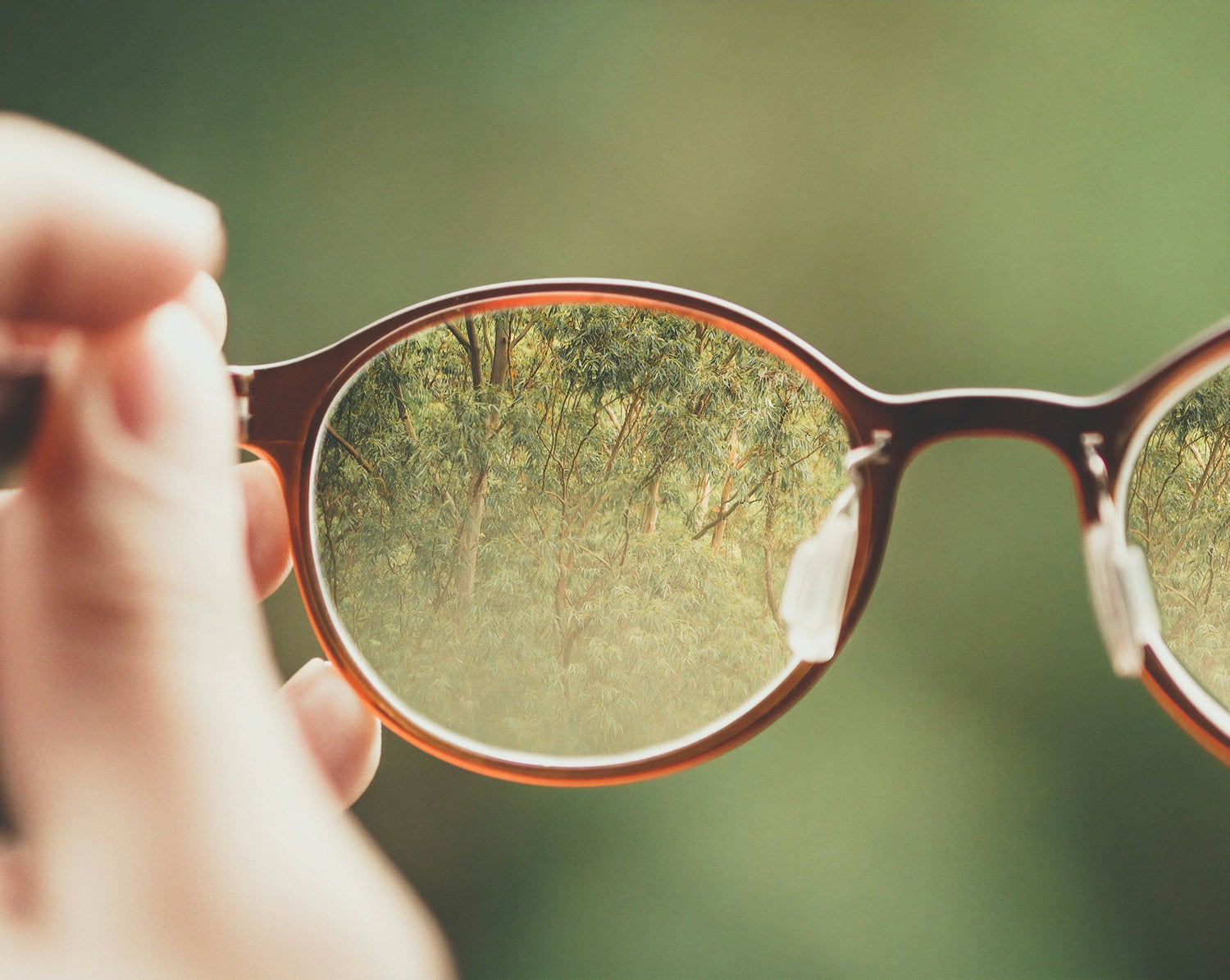 Visual Assistance/ Glasses